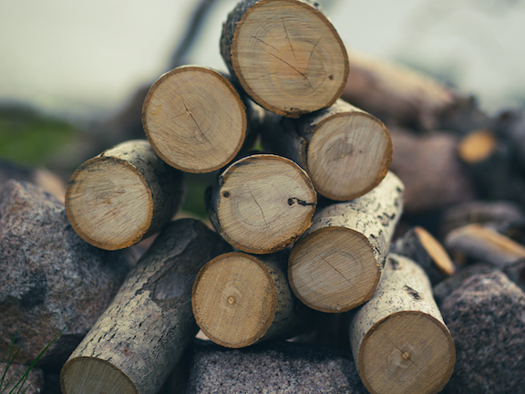 cross-section of cut logs